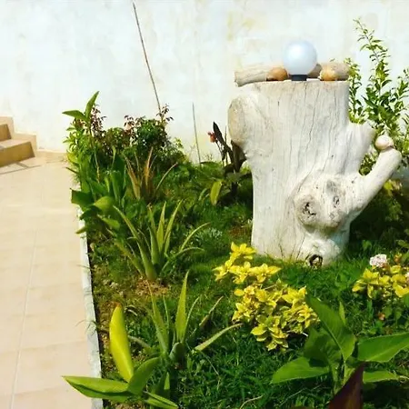 Guest house Hadhri Borsh