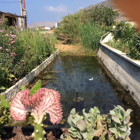 Hadhri 게스트하우스