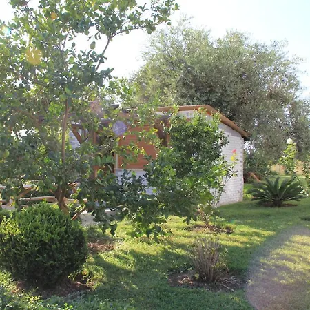 Guest house Hadhri *
