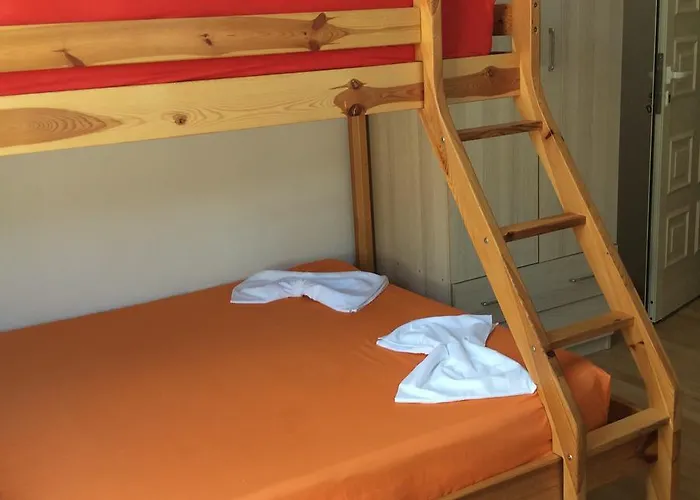 招待所 Hadhri 博尔什