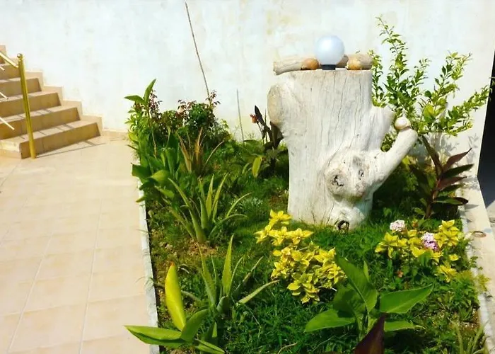 招待所 Hadhri 博尔什